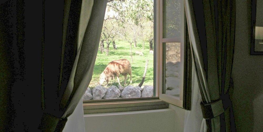 S'Hort De Cas Misser Boutique Hotel (Adults Only) Selva  Exterior photo